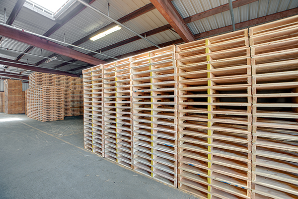 multiple large stacks of pallets lined up in the UPFP Woodburn warehouse.